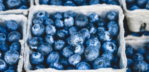 Das passiert mit deinem Körper, wenn du oft Blaubeeren isst, ich hatte keine Ahnung!